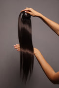 Ponytail